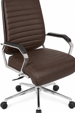 Ergonova Task Plus Work Chair Delhi